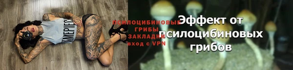 молекула духа Белоозёрский