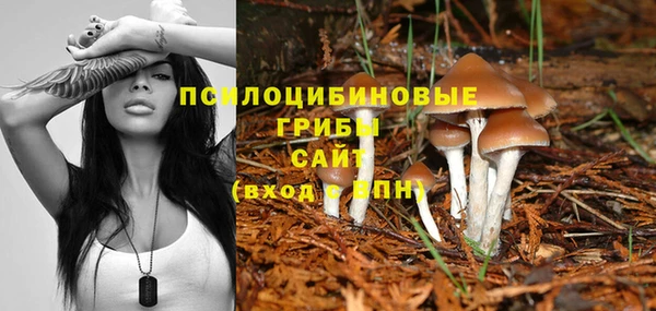 дмт Белокуриха